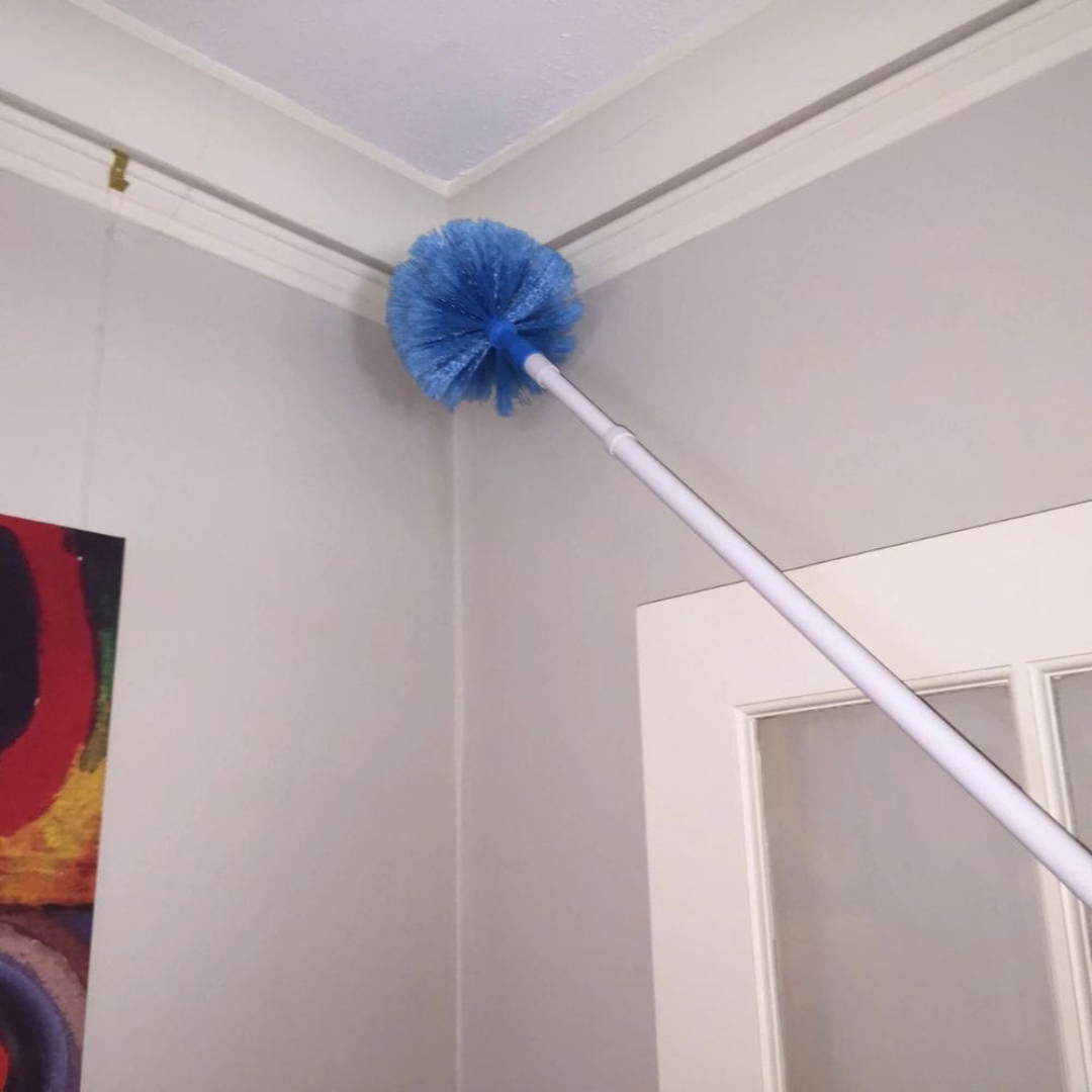 Filta Cobweb Brush with Extension Handle 2