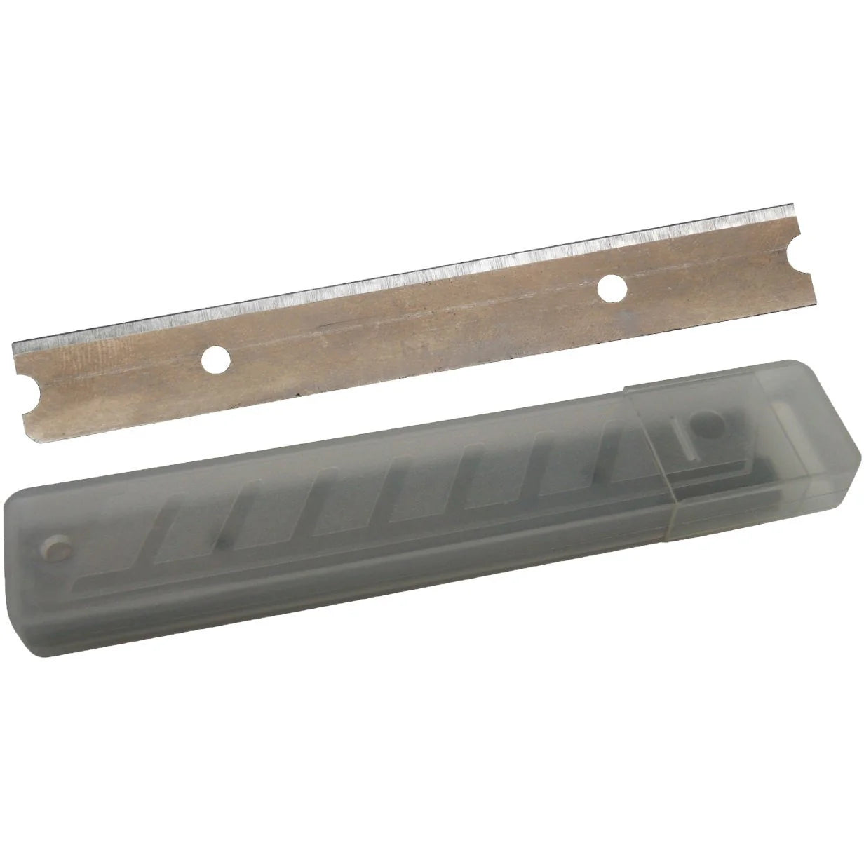 Filta 10 Replacement Scraper Blades for SP0010(PCS 19016528)